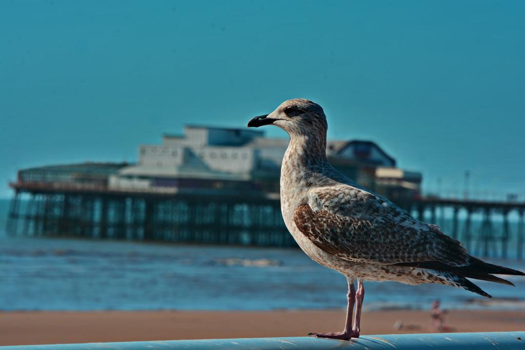 The Derby Hotel Blackpool Exterior photo